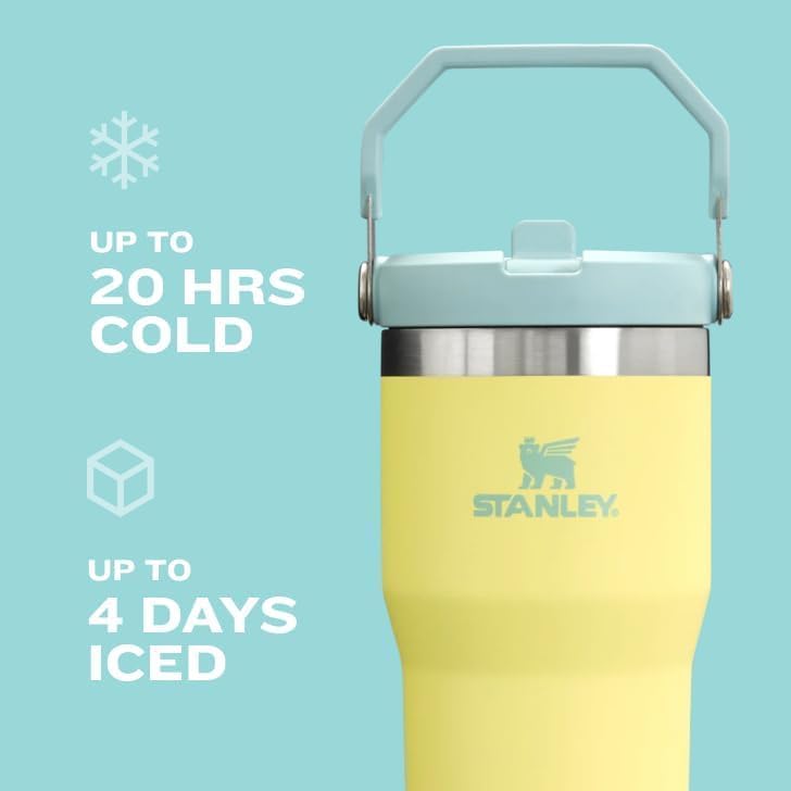 STANLEY IceFlow 2.0 Flip Straw Tumbler with Handle 30 oz | Twist On Lid and Flip Up Straw | Leakproof Water Bottle | Insulated Stainless Steel | BPA-Free | Prickly Pear