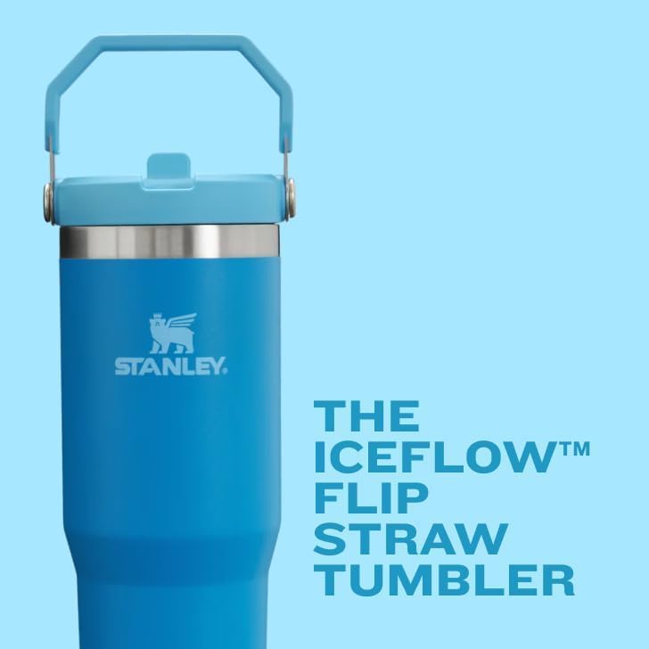 Stanley IceFlow 2.0 Flip Straw Tumbler with Handle 30 oz | Twist On Lid and Flip Up Straw | Leak Resistant Water Bottle | Insulated Stainless Steel | BPA-Free | Exclusive Blue Cactus