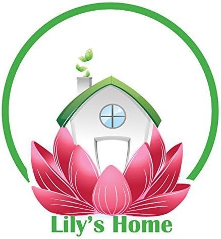Lily's Home Unbreakable Acrylic Wine Glasses, Made of Shatterproof Tritan Plastic and Ideal for Indoor and Outdoor Use, Reusable (Multi - Light) - 20 oz each, Set of 4