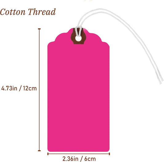 Outus 60 Pcs 4 3/4-in x 2 3/8-in Blank Large Paper Gift Tags with String and Reinforced Eyelet Wire Writable Price Tags Shipping Labels Inventory Labels(Gradient Pink)