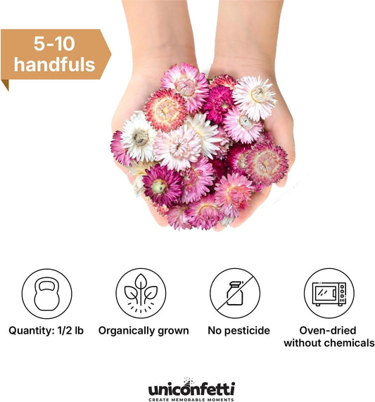 Dried Flower Pink Straw Daisy Biodegradable Confetti - Real Flower Petals for Weddings, Flower Girl Toss, Wedding Send Off Ideas, Party Table Decoration | Boxed - 8oz (0.5lbs)
