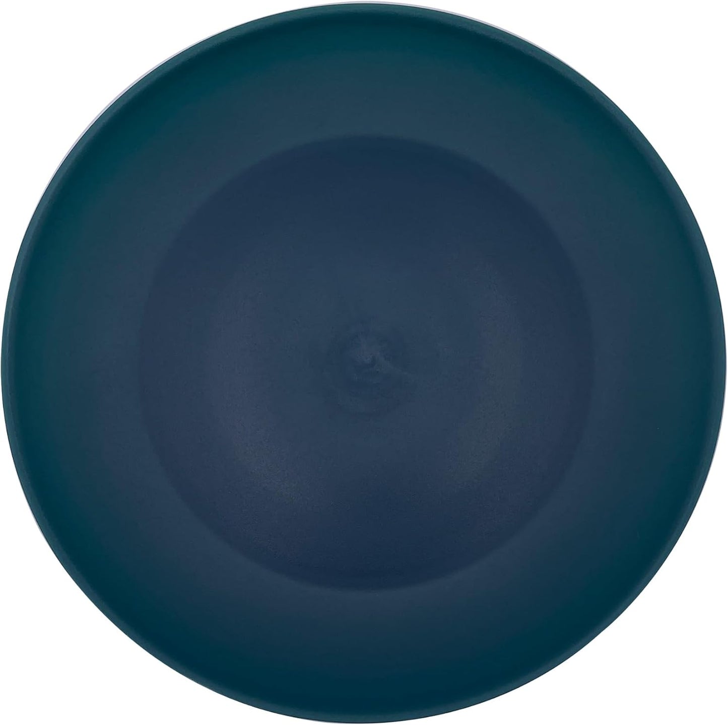 AOYITE Plastic Plates Reusable 10 inch, Unbreakable Dinner Plates set of 12, BPA Free Microwave & Dishwasher Safe Party Plate for Any Occasion, BBQ, Travel, Events (Coastal)