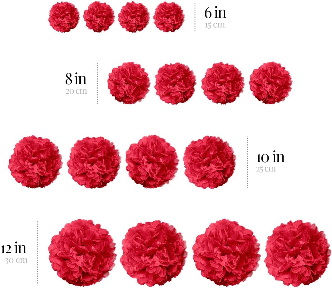 Red Tissue Paper Pom Poms - Red Party Decorations for Birthdays, Weddings, Baby Showers and Special Occasions by Avoseta (16 Piece Set, Assorted Sizes)