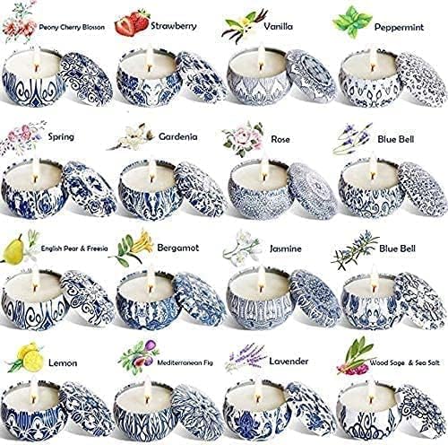 Set of 16 Pack Scented Candle Gifts Travel Tin Jar Candles for Home 2.5 OZ Scented Candles for Mom for Christmas, Birthday, Thanksgiving, Mother's Day.