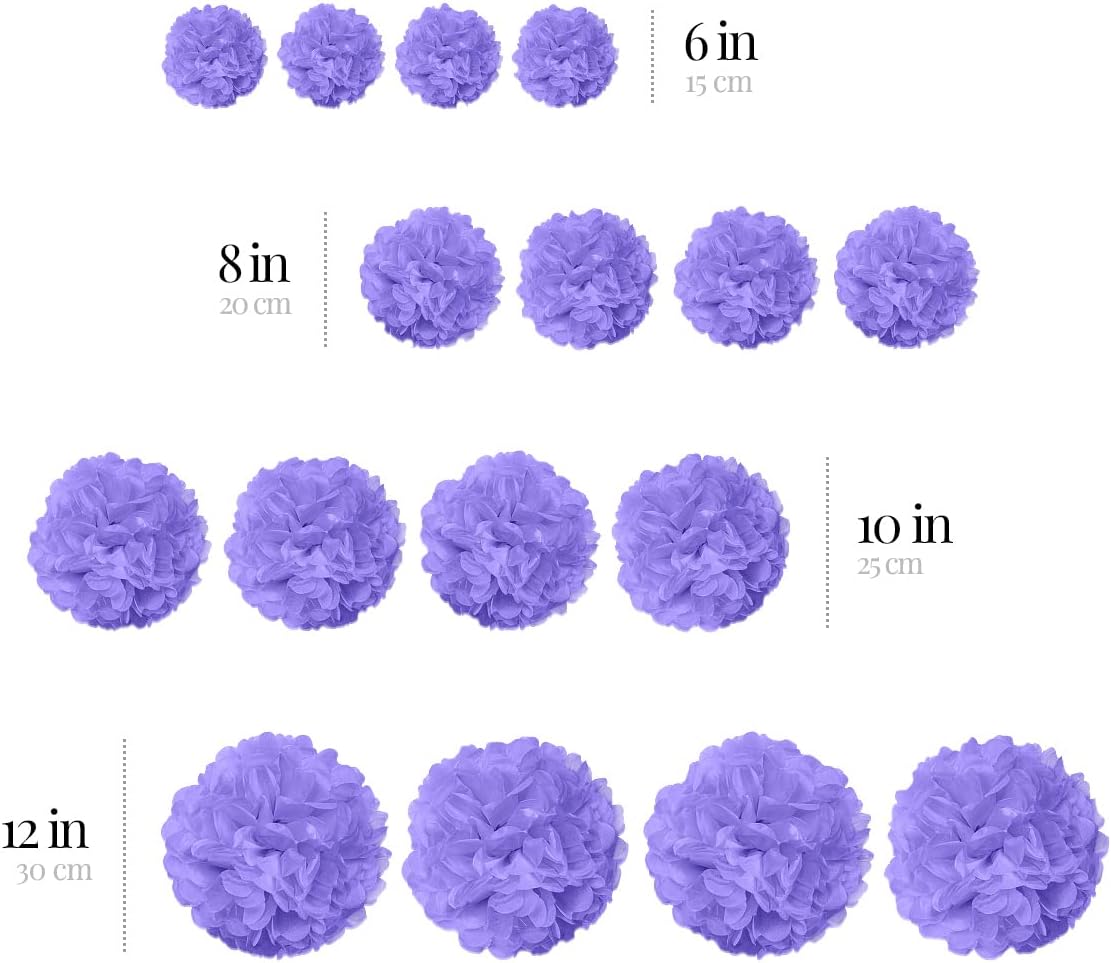 Purple Tissue Paper Pom Poms - Purple Party Decorations for Birthdays, Weddings, Baby Showers and Special Occasions by Avoseta (16 Piece Set, Assorted Sizes)