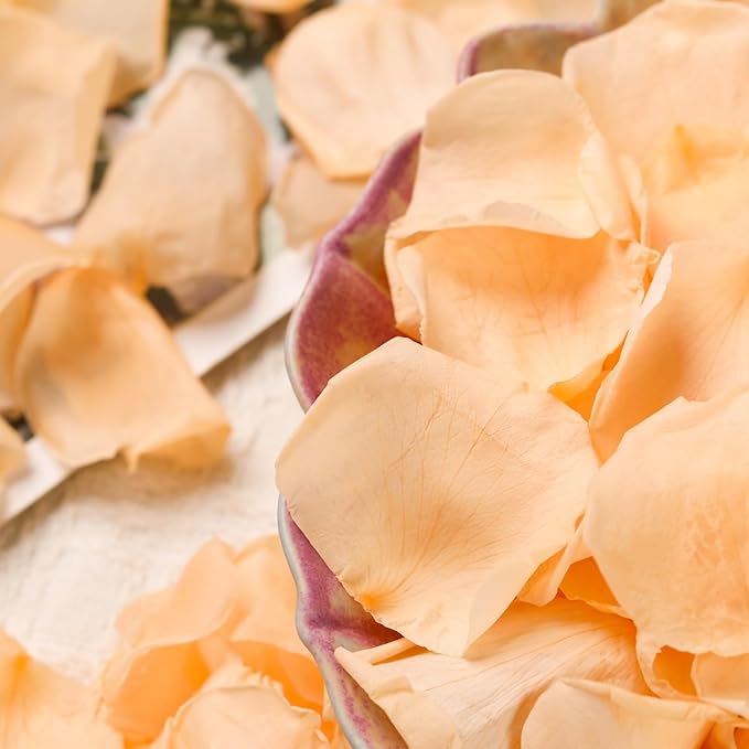 Dried Real Rose Petals, Natural Preserved Dry Flower Petals for Wedding Party Dinner Table Decor, Romantic Night for Her Set, Engagement, Bridal Shower, Valentine's Day, Confetti (1.6oz, Champagne)
