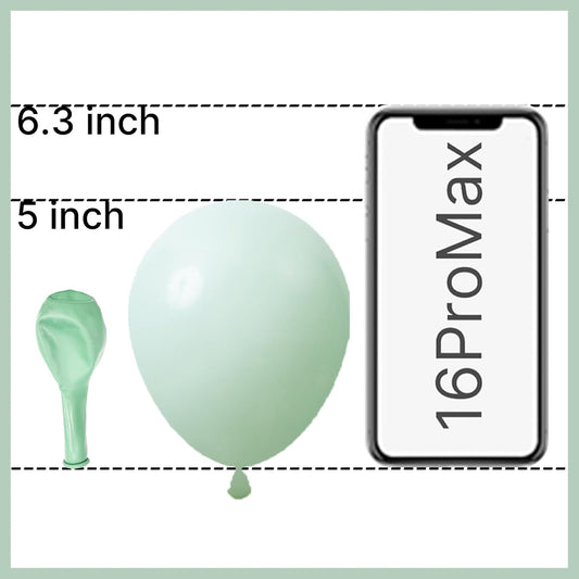 PartyWoo Pastel Green Balloons 50 pcs 5 Inch Small Mini Light Mint Green Latex Balloons for Birthday Baby Shower Gender Reveal Wedding Anniversary Graduation Party Decorations Green-Q06