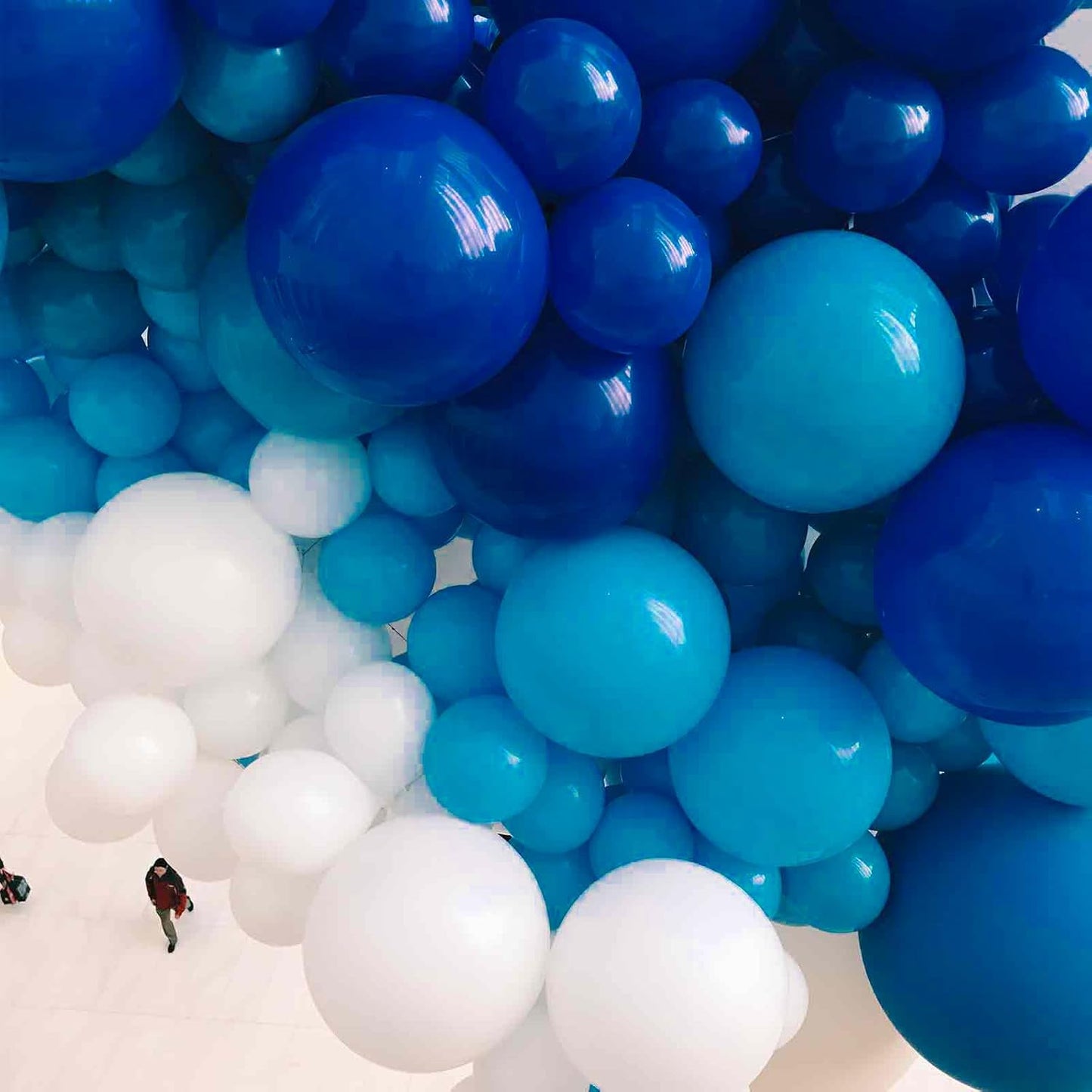 PartyWoo Royal Blue Balloons 50 pcs 12 Inch Matte Dark Blue Latex Helium Balloons for Graduation Independence Day Memorial Day Baseball Baby Shower Gender Reveal Birthday Party Decorations Blue-Y59