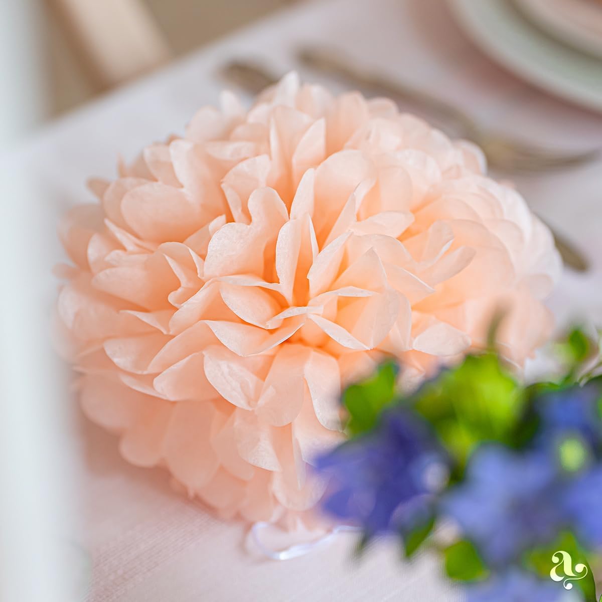 Peach Tissue Paper Pom Poms - Coral Peach Party Decorations for Birthdays, Weddings, Baby Showers and Special Occasions by Avoseta (16 Piece Set, Assorted Sizes)