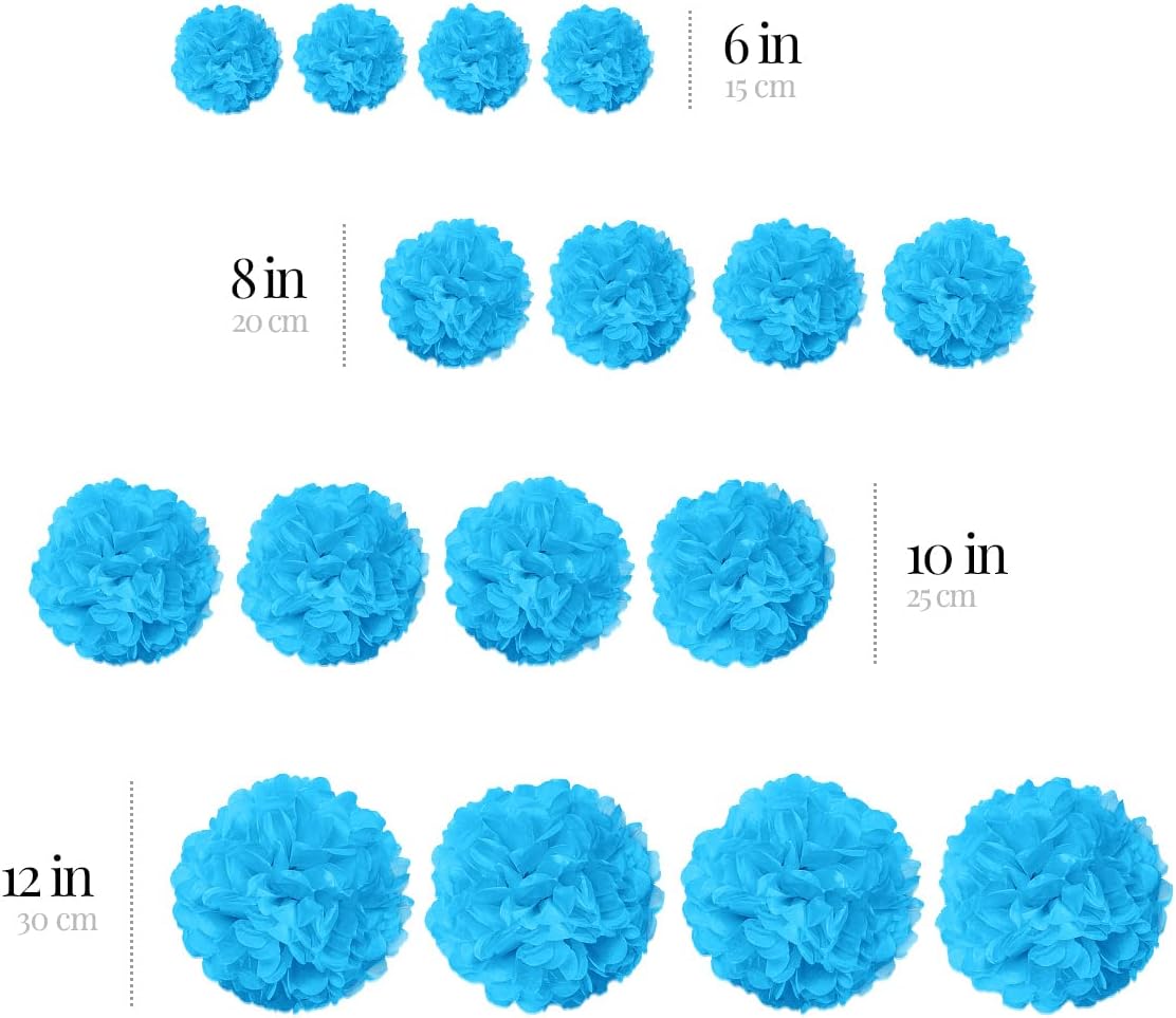 Blue Tissue Paper Pom Poms - Blue Party Decorations for Birthdays, Weddings, Baby Showers and Special Occasions by Avoseta (16 Piece Set, Assorted Sizes)