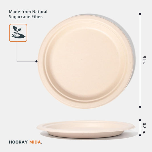 100% Compostable Plates - Disposable, Heavy Duty, Biodegradable, Eco-Friendly (Natural, 9 inch, 125-Count)