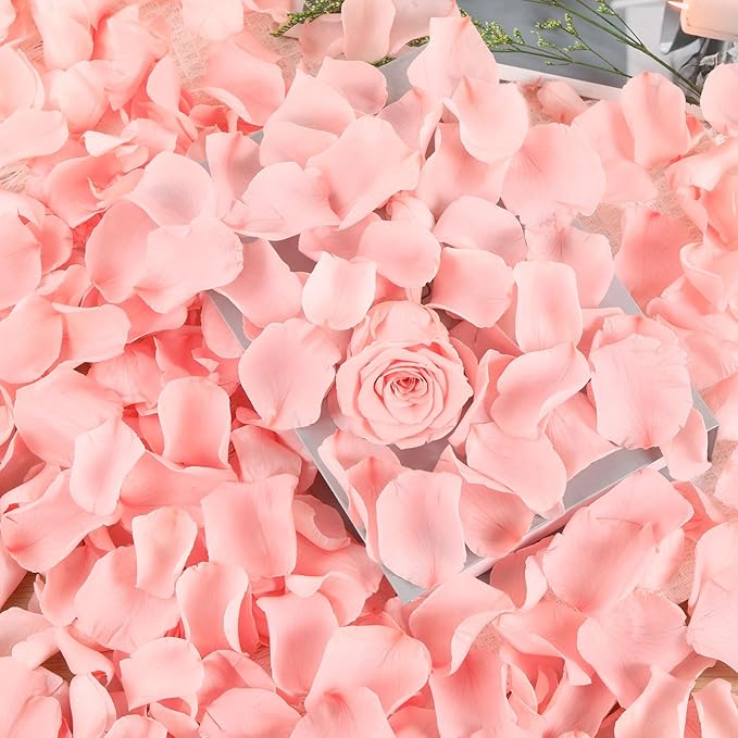 Dried Real Rose Petals, Preserved Flower Petals Confetti for Wedding, Romantic Night for Her Set, Engagement, Bridal Shower, Valentine's Day, Flower Girl Party Dinner Table Decor (1.4oz, Pink)