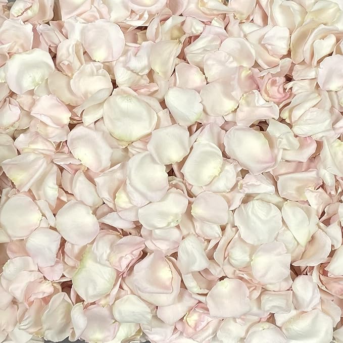 Rose Petals for Wedding Decoration, Bridal Toss, and Aisles, Freeze Dried, Use within 1 month (Bashful, 30 cups)