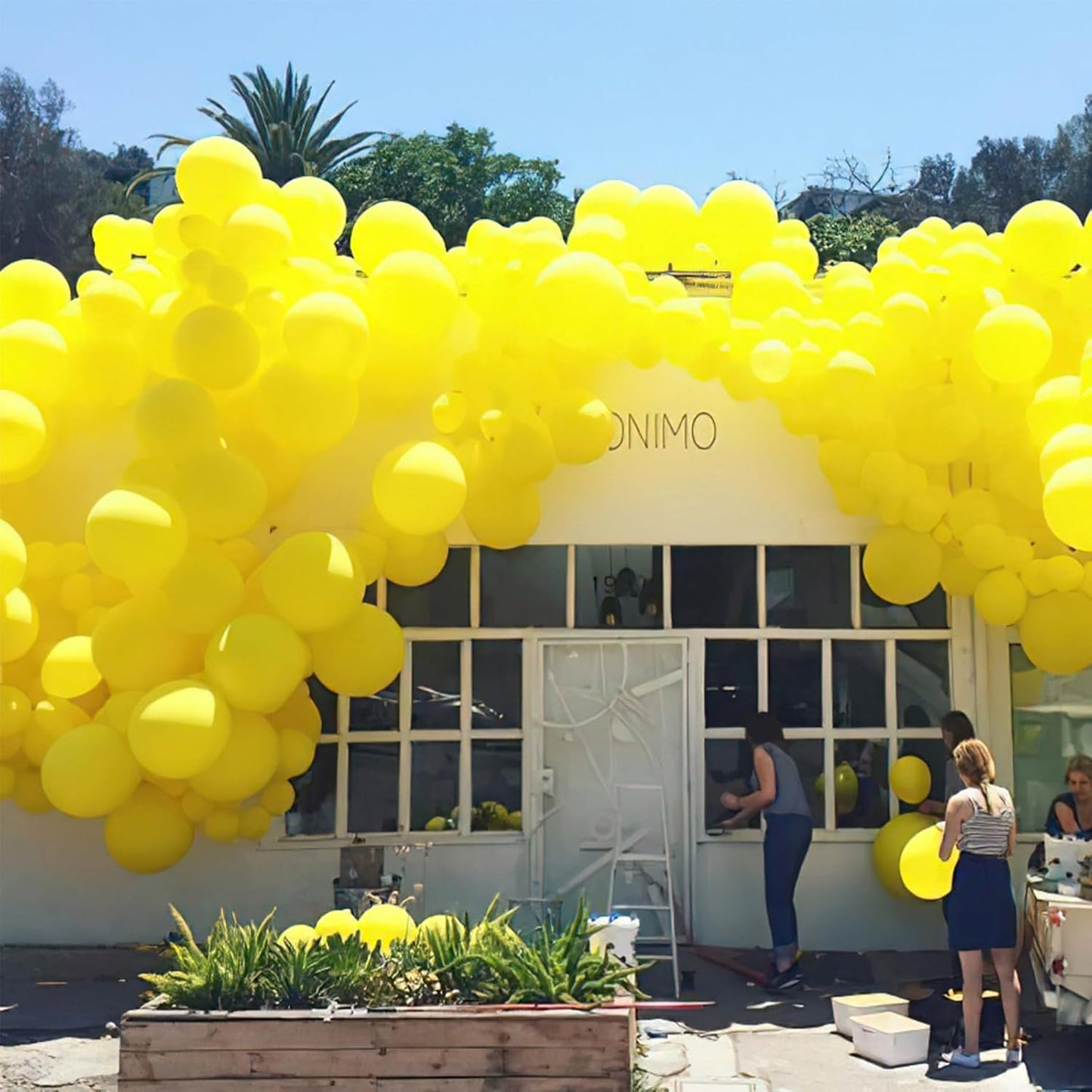 PartyWoo Yellow Balloons 20 pcs 18 Inch Large Big Jumbo Giant Matte Yellow Latex Helium Balloons for Easter Bee Baby Shower Gender Reveal Sunflower Graduation Birthday Party Decorations Yellow-Y55