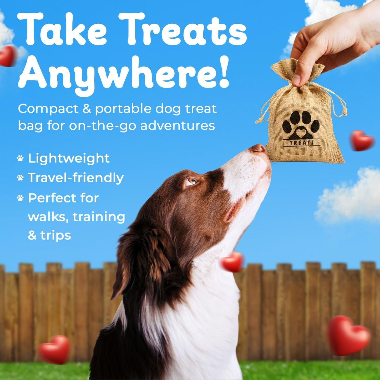 Dog Treat Container - Includes 3 Treat Jars, 1 Treat Bag, Wooden Pet Treat Holder, storage Basket, Dog Treat Station, with Reusable Sticker & Marker - Bone Shape