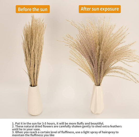 65PCS Pampas Grass Decor, Including pompas Floral, Reed Dried Grass and Bunny Tails Dried Flowers, Natural Dried Pampas Grass Bouquet for Boho Decor Wedding, Home Decoration