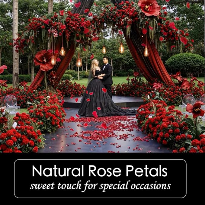 180+PCS Real Red Rose Petals Confetti for Romantic Night, 1.75oz Freeze Dried Preserved Flower Petals for Wedding Aisle, Proposal, Anniversary, DIY Crafts, Table Scatter & Party Decor
