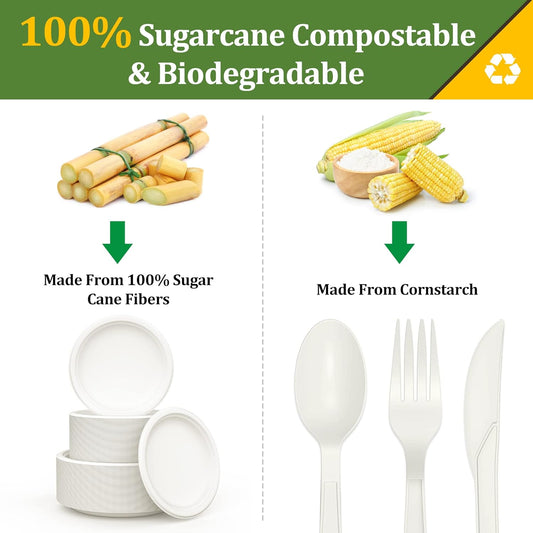 250PCS Disposable Paper Plates Set and Utensils, Compostable Dinnerware 9 and 7inch Plates, Biodegradable Paper Plates, Forks, Knives and Spoons for Party 50 People