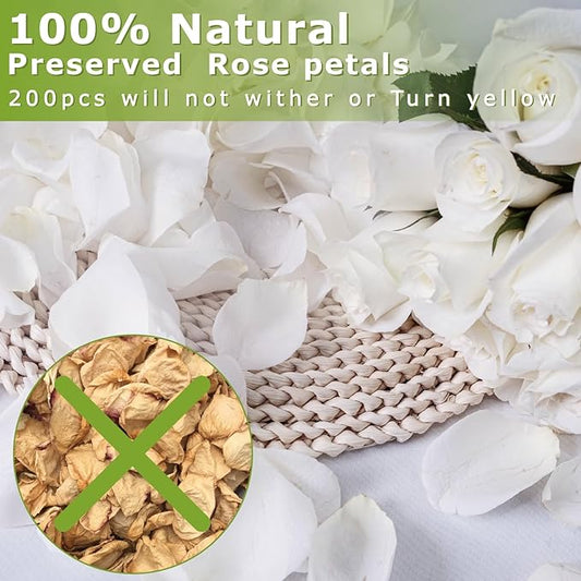 Dried Real White Rose Petals 2.1 oz, Freeze Dried Biodegradable Flower Petals, Natural White Flower Confetti for Wedding, Party Confetti, Flower Girl Petals, Valentine's Day, Bridal Shower Decorations