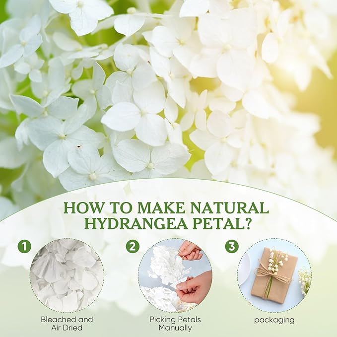 1500pcs Real Dried Ivory White Hydrangea Flower Petals - Natural smal Petals for Wedding, Flower Girl Baskets, Party Confetti, Valentine's Day, Romantic Night, Handcrafts (1.06 oz/30g)