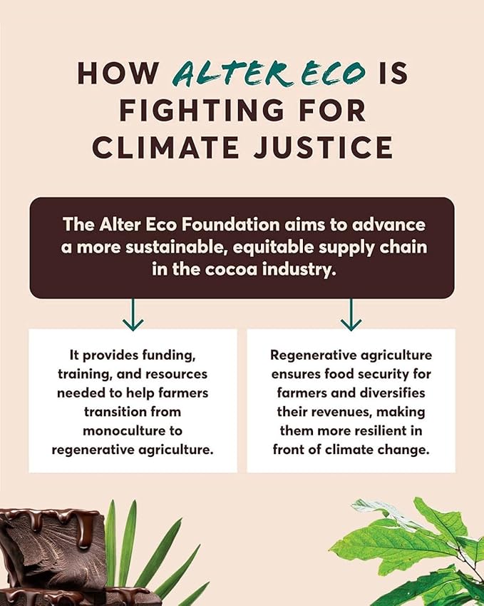 Alter Eco | Dark Chocolate Truffles | Pure Dark Cocoa, Fair Trade, Organic, Non-GMO, Gluten Free | 60 Truffles (Medley)