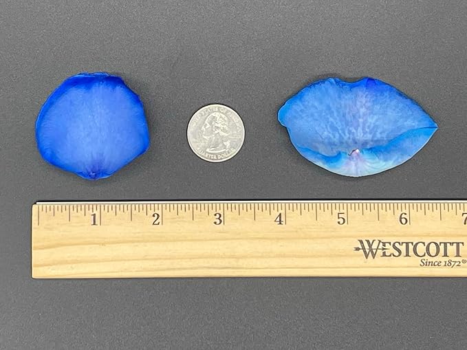 Rose Petals for Wedding Decoration, Bridal Toss, and Aisles, 10 cups, Freeze Dried, Use within 1 month (Blue)