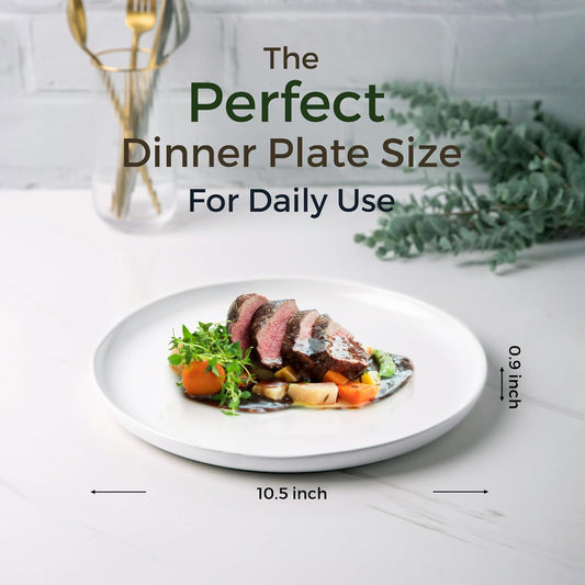 AmorArc Dinner Plates Set of 4, Handcrafted Porcelain Wavy Rim 10.5 Inch Modern Ceramic Plates Set, Dinnerware Dishes for Kitchen-Microwave&Dishwasher&Oven Safe, Chip resistant-Matte White