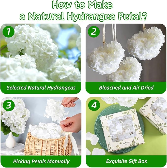 2500+ Real Dried Lvory White Hydrangea Petals - 1.76 oz Preserved Natural Flower Petals for Wedding Decor, Party Confetti, Dinner Table Centerpieces, Handcrafts