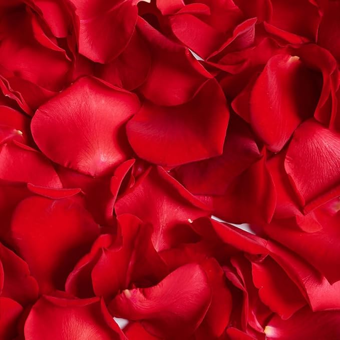 Eslibin 340 PCS Real Red Rose Petals, 3.17oz Dried Flower Confetti Petals for Wedding Flower Girl to Throw at Wedding Party, Romantic Night Bridal Shower Valentine's Day Decor