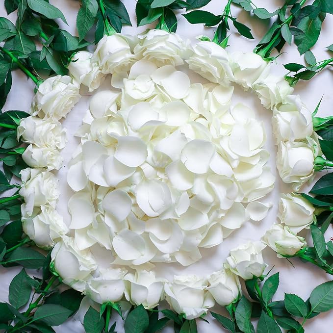 300Pcs Dried Real White Rose Petals, Freeze Preserved Flower Petals 2.8 oz for Gifts Wedding Party Decor, Dinner Table Centerpieces, Bridal Shower, Confetti 80g