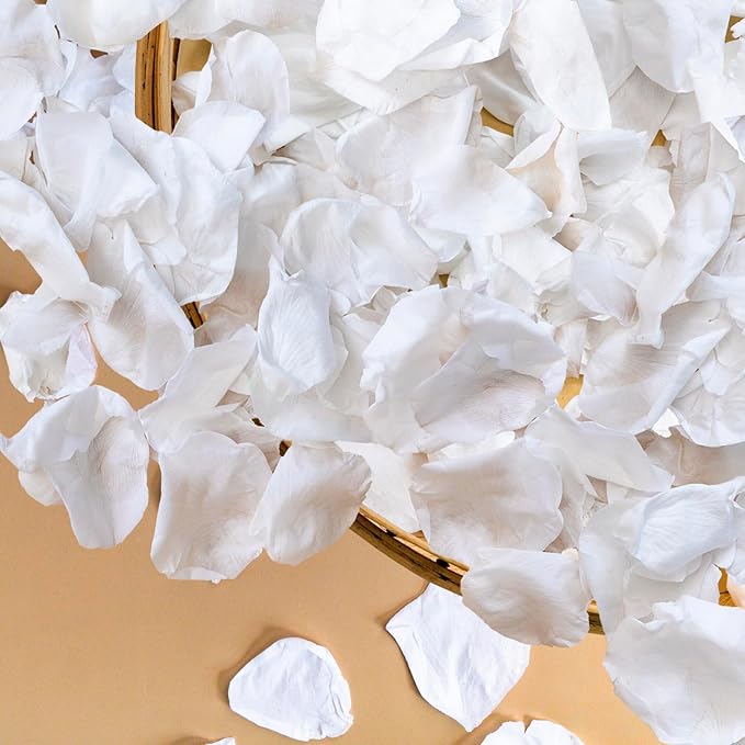 Fortunate Flowers Real White Rose Petals for Flower Girl Basket, 35g/1.2oz Preserved Freeze Real Forever Rose Petals White Flower Petals for Wedding Decor, Proposal, Confetti, Craft
