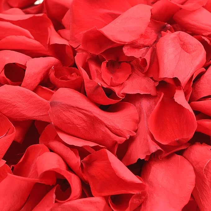 Dried Real Rose Petals, Natural Preserved Dry Flower Petals for Wedding Party Dinner Table Decor, Romantic Night for Her Set, Engagement, Bridal Shower, Valentine's Day, Confetti (1.6oz, Red)
