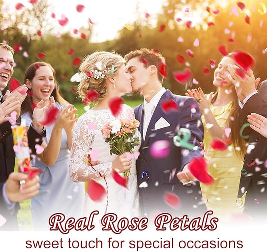 Real Dried Rose Petals – 300+PCS Freeze Dried Red Flower Petals for Weddings, Flower Girl Basket, Party Confetti, Romantic Night, Proposal Decor(2.82oz)