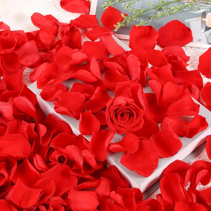 Dried Real Rose Petals, Preserved Flower Petals Confetti for Wedding, Romantic Night for Her Set, Engagement, Bridal Shower, Valentine's Day, Flower Girl Party Dinner Table Decor (3oz, Red)