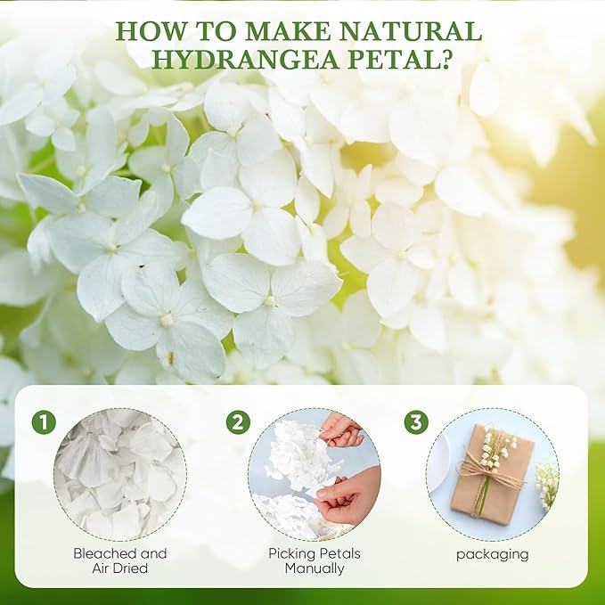 1500pcs Real Dried Ivory White Hydrangea Flower Petals, Natural Dried Petals for Wedding Decor, Valentine's Day, Proposal & Romantic Night, Flower Girl Baskets, Craft & DIY Projects (1.06oz/30g)