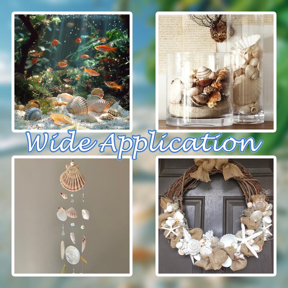 Natural Mixed Seashells Conch Starfish Sea Glass 1-2.8 Inch,16.5 OZ Bulk Ocean Beach Theme Party Decor for Coastal Crafts,Resin Arts, Aquarium Decor,Wedding Table Shells,Nautical Home Vase Fillers