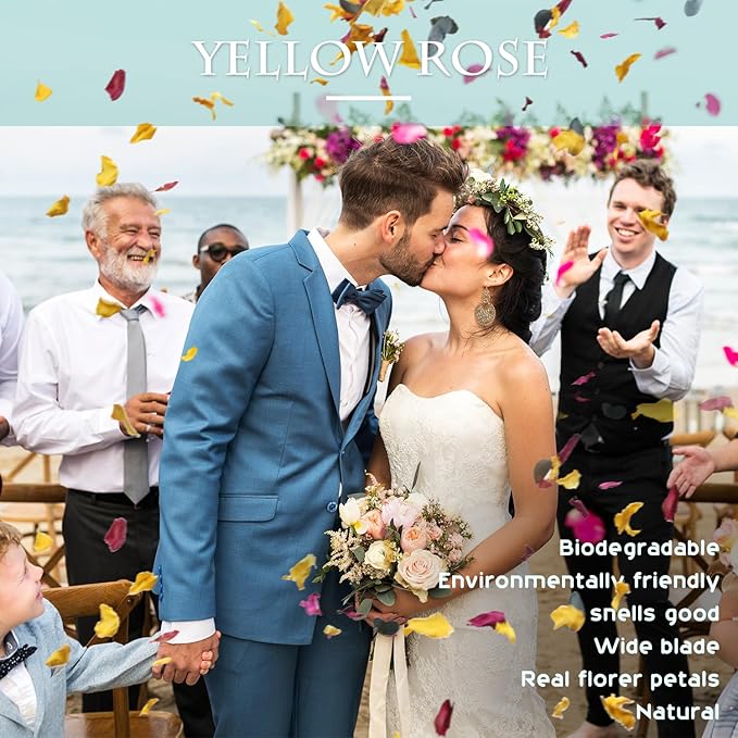 2 QT Mix Biodegradable Flower Petals Confetti, 20+ Cups of Dried Roses & Eucalyptus Leaves, Real Petals for Wedding Parties Romantic Gifts, Flower Bridal (2QT)