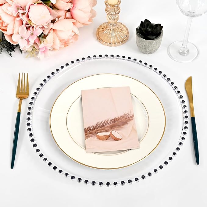 24 PCS Clear Round Charger Plates with Beaded Rim, 13 Inch Plastic Acrylic Plate, Plastic Round Beaded Dinner Decorative Service Plates for Wedding Party Event, Home Kitchen Tabletop(Black)