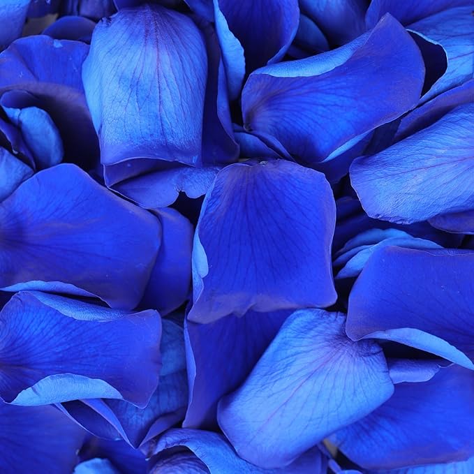 Dried Real Rose Petals, Natural Preserved Dry Flower Petals for Wedding Party Dinner Table Decor, Romantic Night for Her Set, Engagement, Bridal Shower, Valentine's Day, Confetti (1.6 oz, Blue)