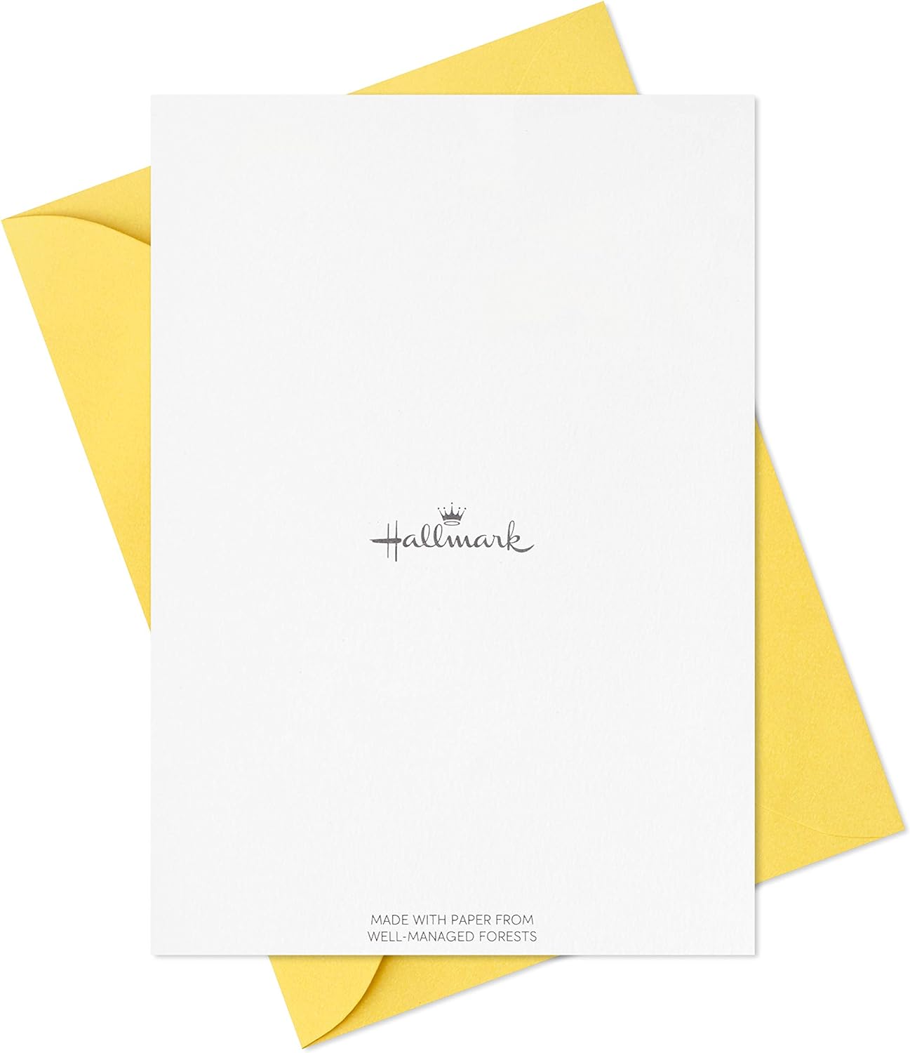 Hallmark Thank You Cards Assortment, Primary Colors (48 Thank You Notes for Kids and Adults) for Graduation, Baby Shower, Birthdays, All Occasion