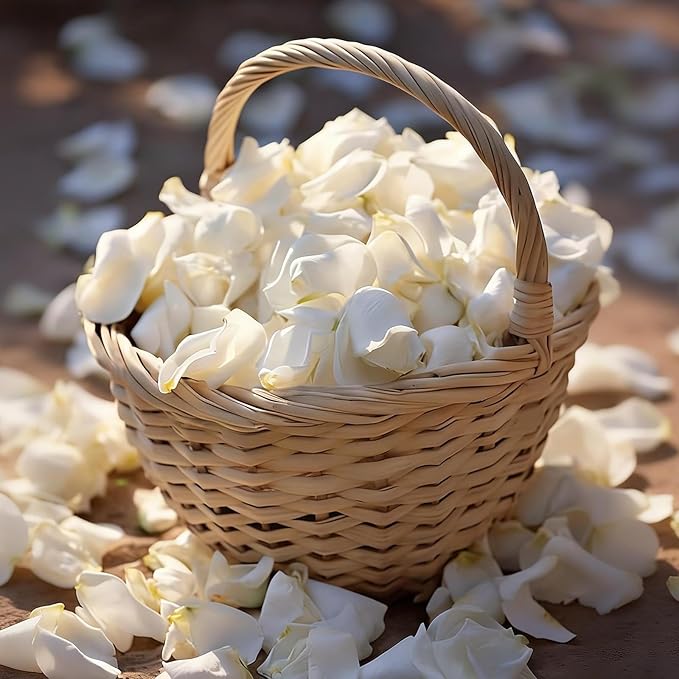 1000+ PCS Real White Rose Petals, 7.76oz (220g) Preserved White Flower Petal for Wedding Flower Girl, Dried Flower Petal for Babyshower Bridal Party Aisle Table Scatter Decor