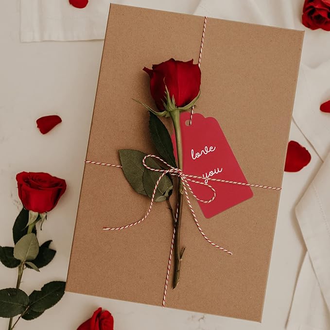 G2PLUS 100PCS Red Gift Tags with String, 2'' x 4'' Blank Paper Gift Tags with Twine for Gift Wrapping, Arts & Crafts, Wedding, Christmas, Thanksgiving, Valentine's Day