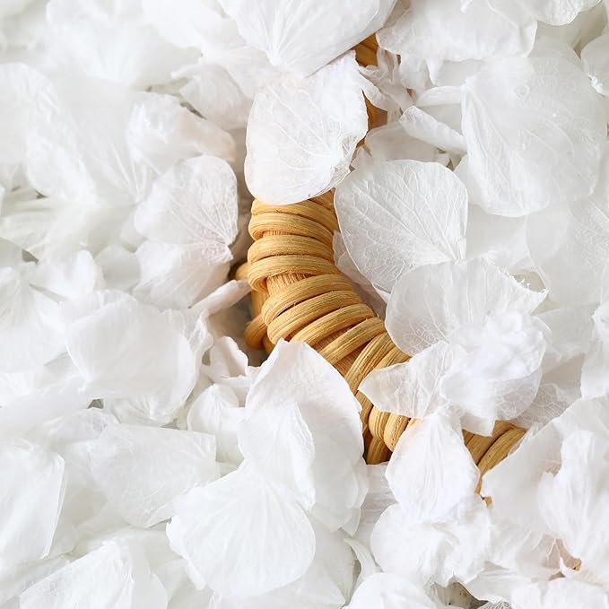 1500+ Dried Real Hydrangea Petals, Natural Preserved Flower Petal for Wedding Party Dinner Table Decor, Romantic Night, Engagement, Bridal Shower, Valentines Day, Confetti (1.1oz, White)