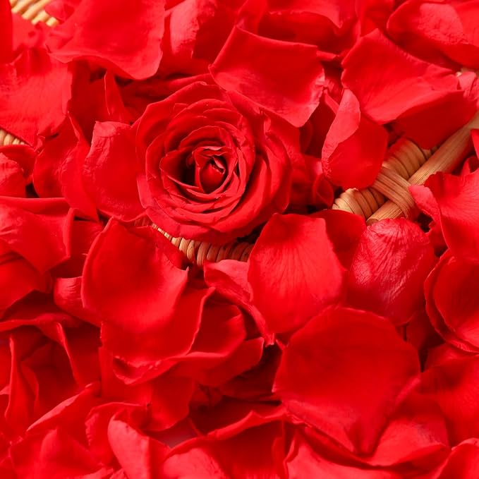 Dried Real Rose Petals, Natural Preserved Dry Flower Petals for Wedding Party Dinner Table Decor, Romantic Night for Her Set, Engagement, Bridal Shower, Valentine's Day, Confetti (1.4oz, Red)