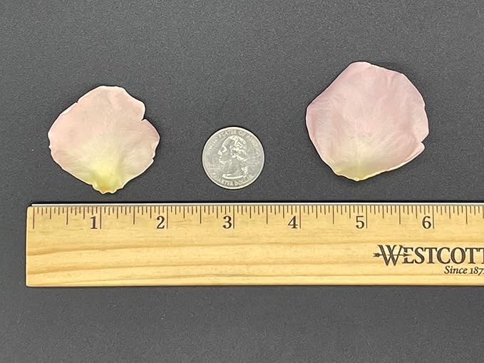 Rose Petals for Wedding Decoration, Bridal Toss, and Aisles, 10 cups, Freeze Dried, Use within 1 month (Blush)