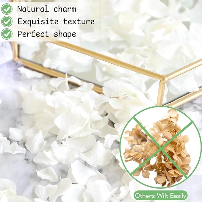 4500Pcs Ivory White Dried Hydrangea Flower Petals - 100% Natural Real Off-White Flower Petals for Wedding Confetti, Flower Girl Basket, Shower Party, DIY Crafts (3.17oz)