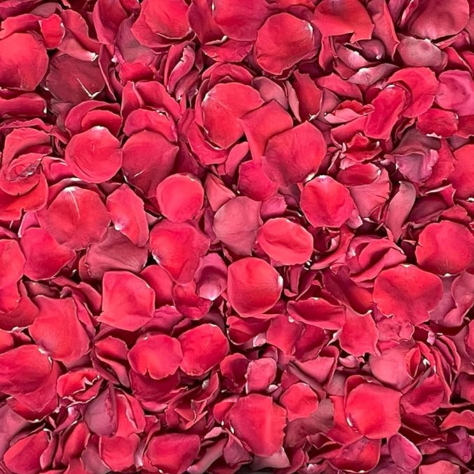 Rose Petals for Wedding Decoration, Bridal Toss, and Aisles, Freeze Dried, Use within 1 month (Red, 10 cups)