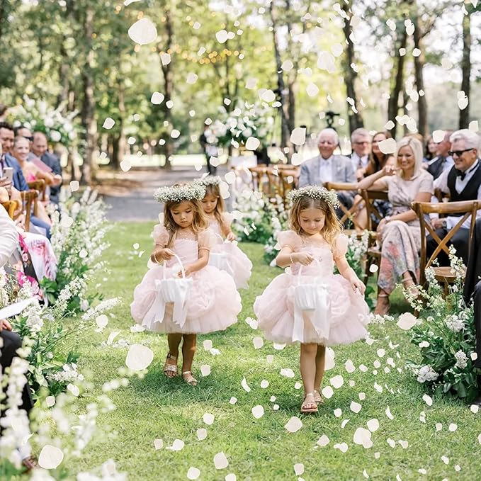 1250+ Real Dried Lvory White Hydrangea Petals - 0.88 oz Preserved Natural Flower Petals for Wedding Decor, Party Confetti, Dinner Table Centerpieces, Handcrafts