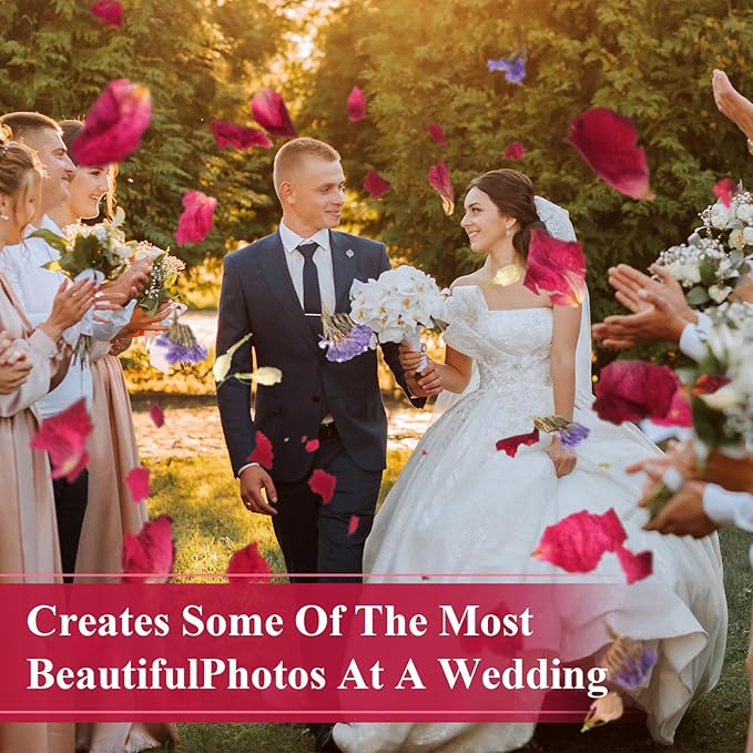 Suncalla 700g 100 Packs Wedding Confetti Biodegradable Flower Petals with Throw Me Stickers Mixed Dried Real Flower Confetti for Party Send off Exit Ideas Bridal Proposal Bath Wedding(Dried Petals)
