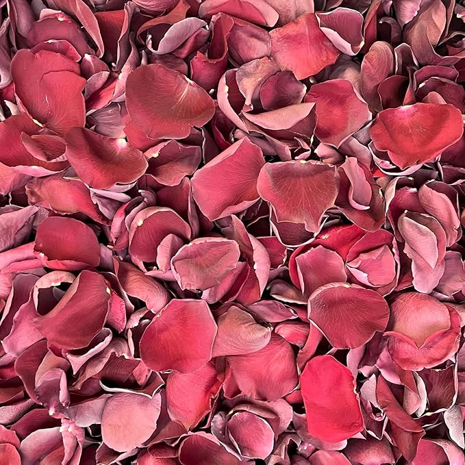 Rose Petals for Wedding Decoration, Bridal Toss, and Aisles, Freeze Dried, Use within 1 month (Burgundy, 2 cup Sample)